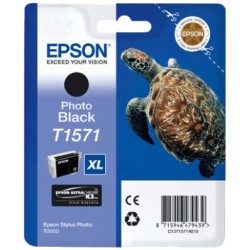Epson T1571 NOIR Photo...